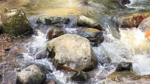 Crystal-Clear Stream Water Gently Flowing Over Moss-Covered Rocks in a Serene Woodland Setting