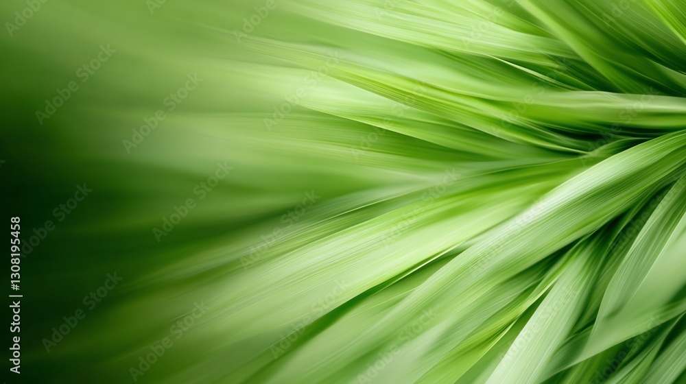 Soft motion blur of tree leaves swaying in the wind, tranquil abstract texture Soft motion blur of tree leaves swaying in the wind, tranquil abstract texture