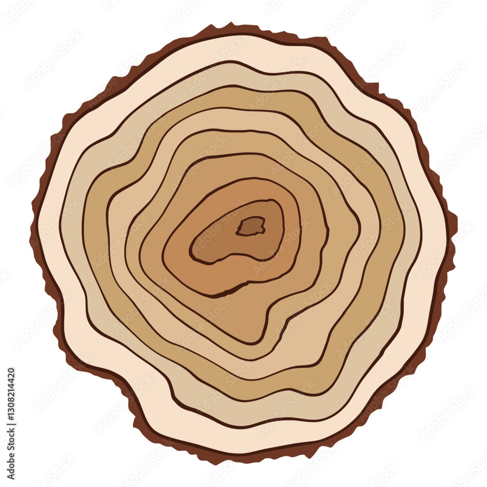 Log cut, tree rings pattern, isolated on white background, vector illustration