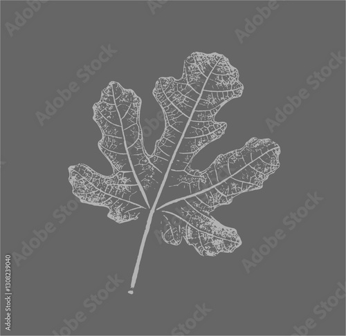 Stamp impression or sketch of a fig leaf with organic texture. Isolated leaf print for floral art or pattern.
