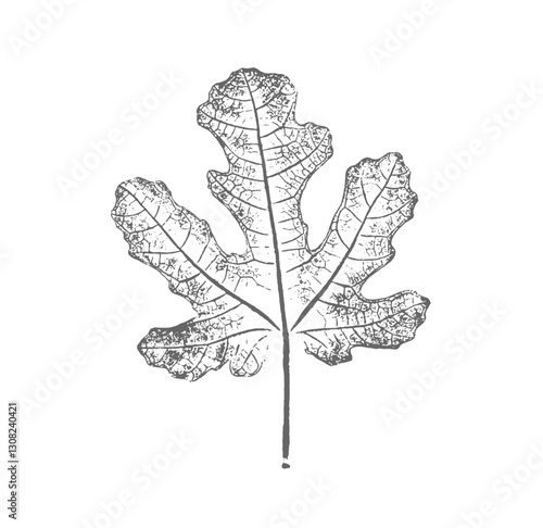 Stamp impression or sketch of a fig leaf with organic texture. Isolated leaf print for floral art or pattern.
