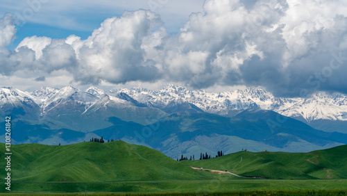 snow mountain landscape, gressland
