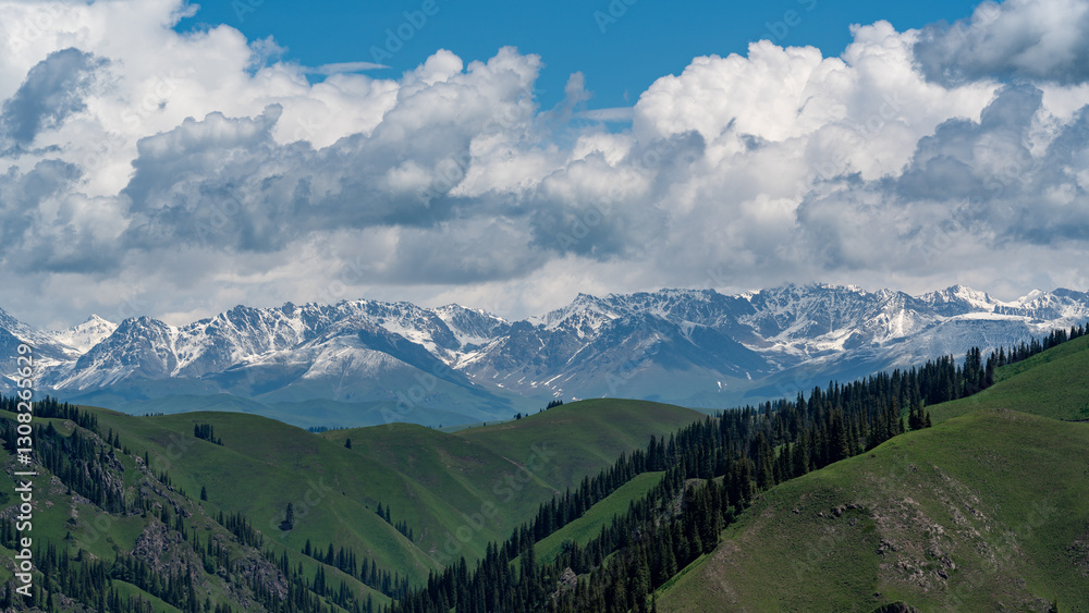 Obraz premium road to the snow mountains, 独库公路
