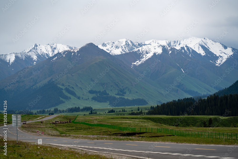 Fototapeta premium road in mountains
