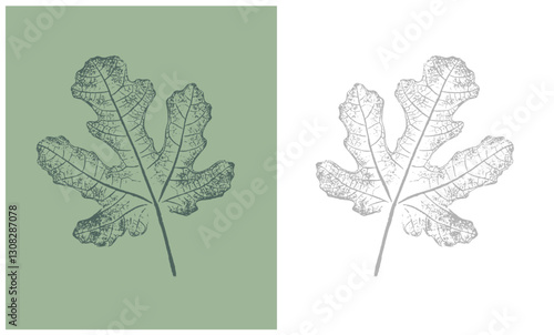 Stamp impression or sketch of a fig leaf with organic texture. Isolated leaf print for floral art or pattern.
