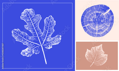 Stamp impression or sketch of a fig leaf with organic texture. Isolated leaf print for floral art or pattern.
