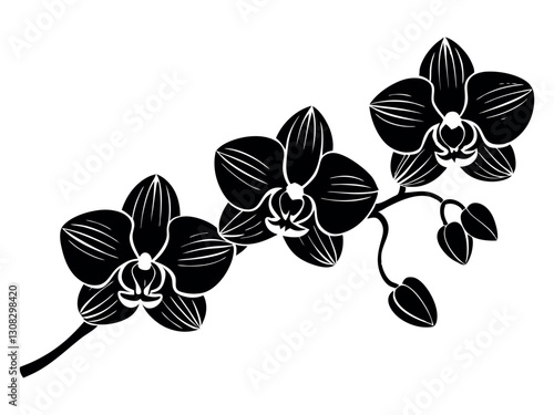 Orchid flowers with branch Vector silhouette illustration isolated on a white background. Black silhouette of orchid flowers. Vector illustration. Orchid branch silhouette vector for design