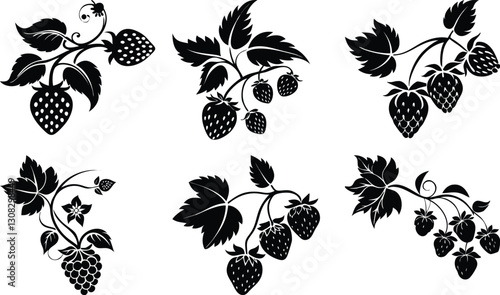 Black and White Strawberry Vector Art: Detailed Silhouette Illustrations of Strawberry Vines, Leaves, and Berries for Graphic Design
