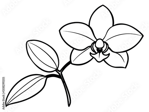 Orchid flowers with branch Vector silhouette illustration isolated on a white background. Black silhouette of orchid flowers. Vector illustration. Orchid branch silhouette vector for design