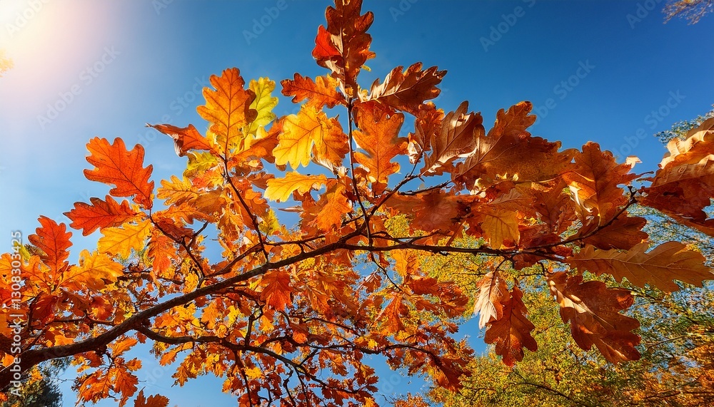 common oak branch with autumn leaves against the clear sky common oak branch with autumn leaves against the clear sky