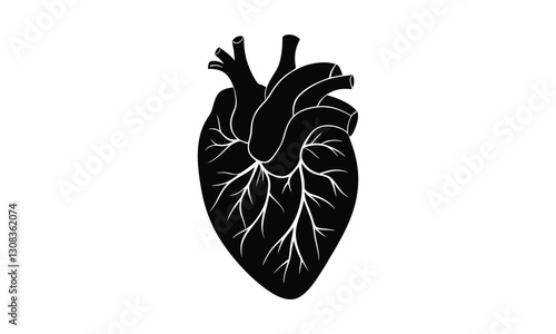 Heart Organ Anatomy Biology Love Symbol Life.