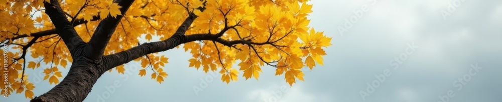 A weathered tree, vibrant yellow leaves against a muted gray sky , landscape, woodland, silhouette A weathered tree, vibrant yellow leaves against a muted gray sky , landscape, woodland, silhouette