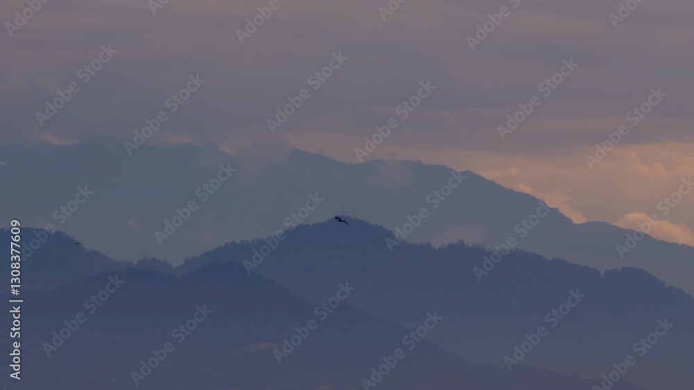Birds flying high in mountains in evening time. Birds flying high in mountains in evening time.