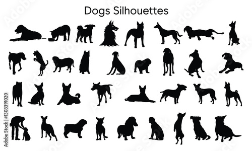 Weimaraner dog silhouette, Weimaraner dog svg, Weimaraner svg, Weimaraner silhouette, Weimaraner dog vector bundle.