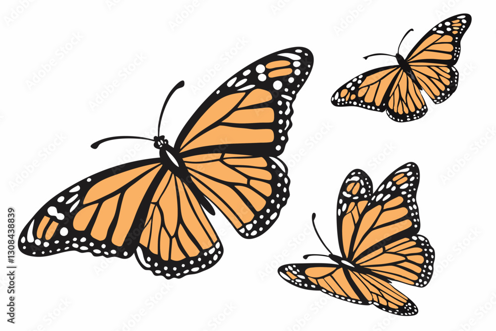 Fototapeta premium Monarch butterflies set. Vector illustration isolated on white background