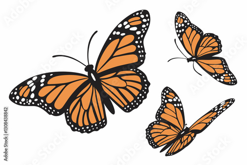 Monarch butterflies set. Vector illustration isolated on white background