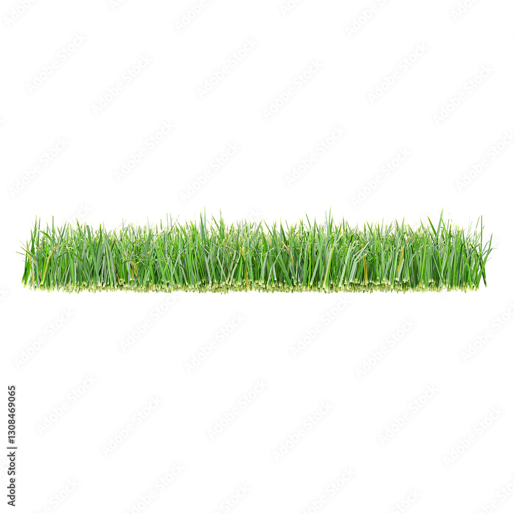 collection of green grass on Transparent Canvas collection of green grass on Transparent Canvas