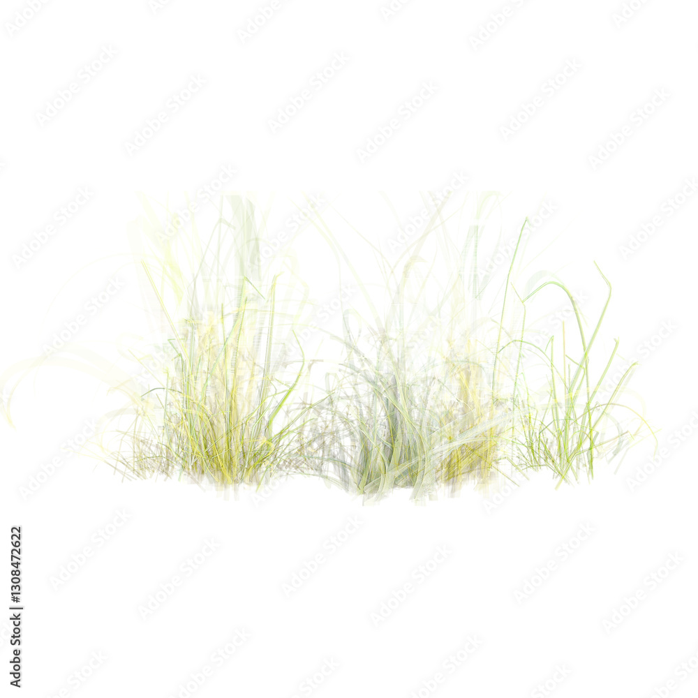 Obraz premium Beautiful shape of green wild grass isolated on transparent Canvas