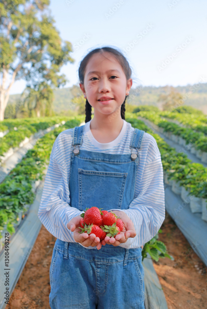 Asian girl showing fresh strawberries in hands, Thailand farm field.