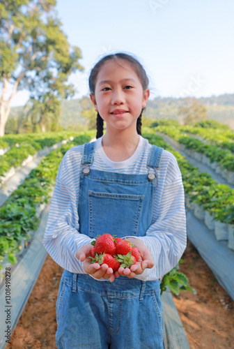 Obraz na płótnie Asian girl showing fresh strawberries in hands, Thailand farm field. w salonie