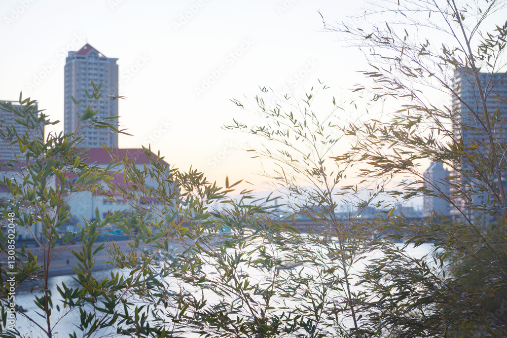宝塚市の朝の風景
