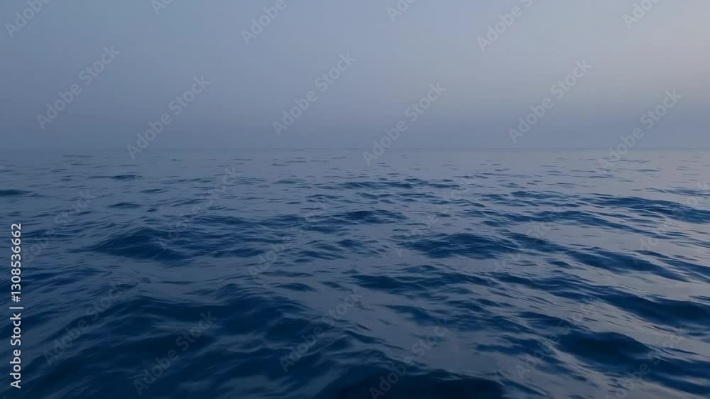 The Vast Ocean Surface The Vast Ocean Surface
