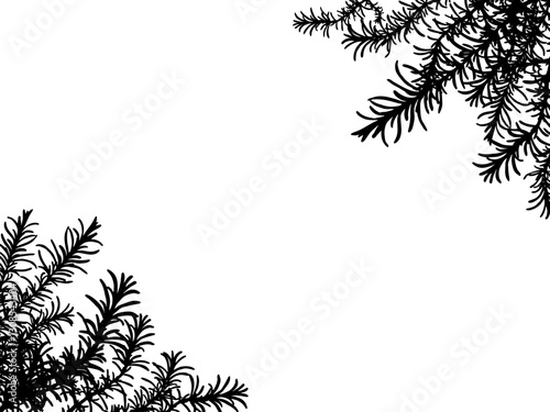 ローズマリーのシルエットフレーム②黒