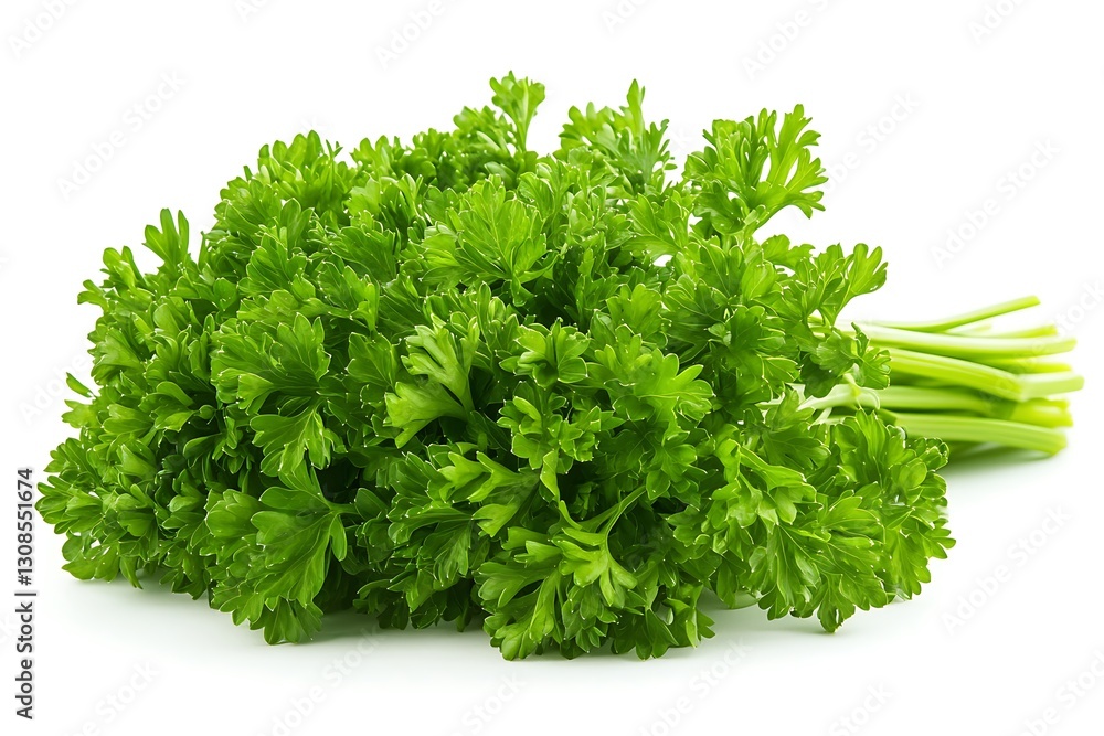 Fresh green parsley bunch isolated on white. Fresh green parsley bunch isolated on white.