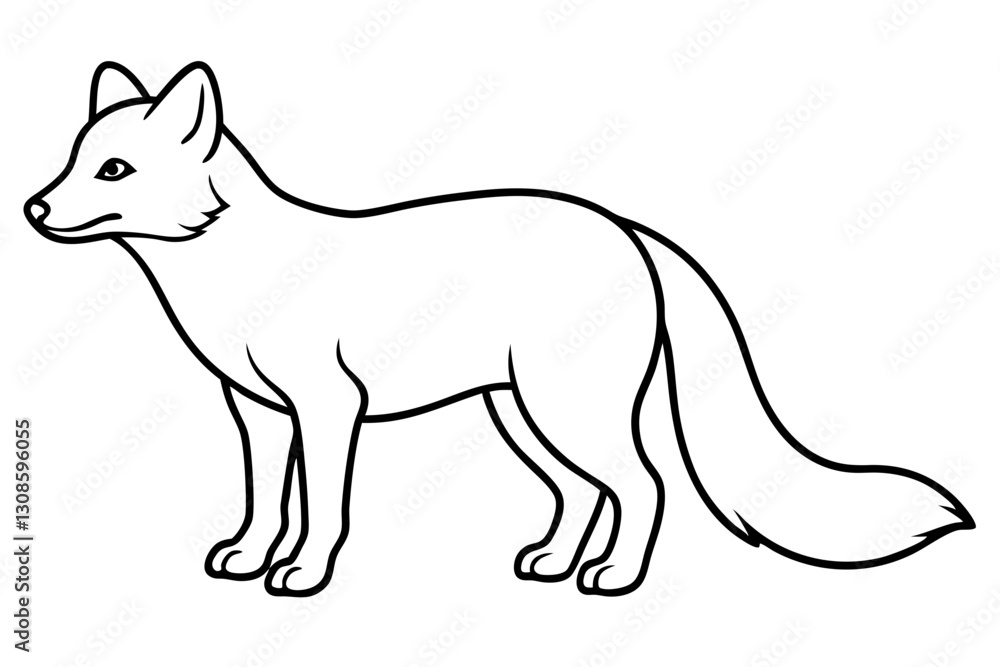 Fototapeta premium Elegant Arctic Fox Outline