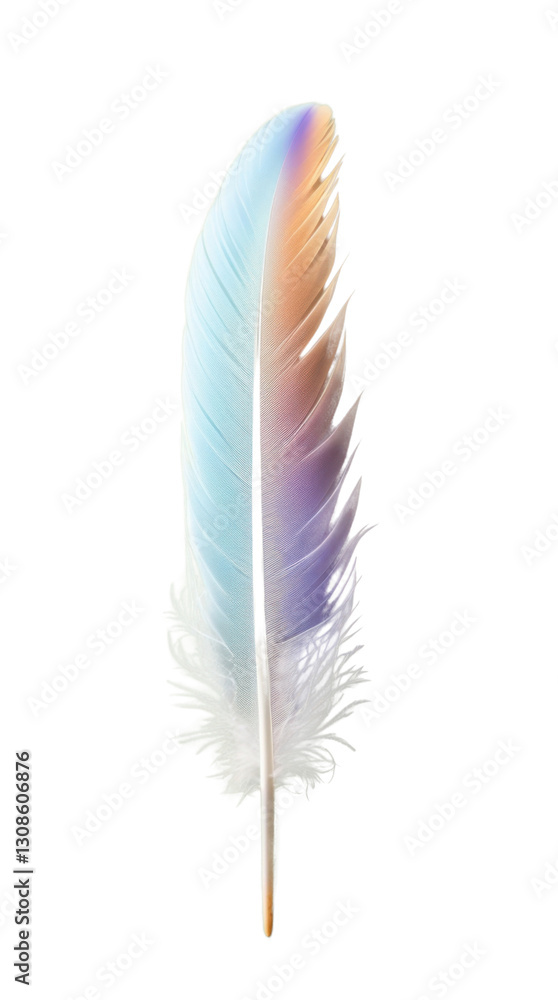 Delicate pastel gradient feather on soft green background, elegant artistic minimalist design png, cutout Delicate pastel gradient feather on soft green background, elegant artistic minimalist design png, cutout