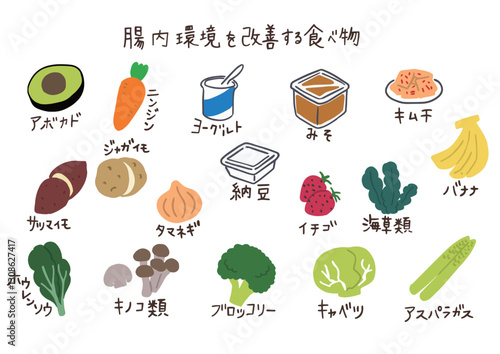 腸内環境を改善する食べ物のイラストセット