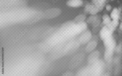 Abstract shadow overlay from foliage on a transparent background.