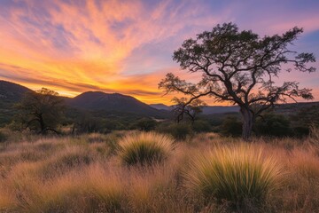 Fotobehang Cappuccinokleur Serene sunset casting vibrant shadows on expansive texas fields adorned with rich native grasses, creating a tranquil rural landscape for nature enthusiasts and photographers  © Livinskiy