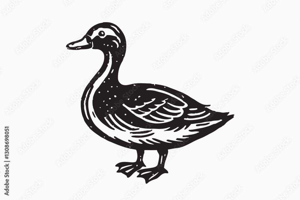 Duc vector silhouette illustration of mullard duck isolated on white background Duc vector silhouette illustration of mullard duck isolated on white background