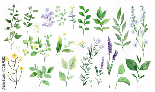 Wildflower Herb Leaf Watercolor Vector Set for Botanical Design and Art Projects