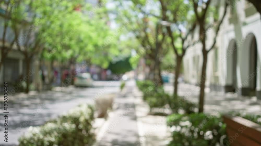 Defocused urban street with green trees and cars, creating a peaceful outdoor bokeh effect in an urban environment during a sunny day. Defocused urban street with green trees and cars, creating a peaceful outdoor bokeh effect in an urban environment during a sunny day.