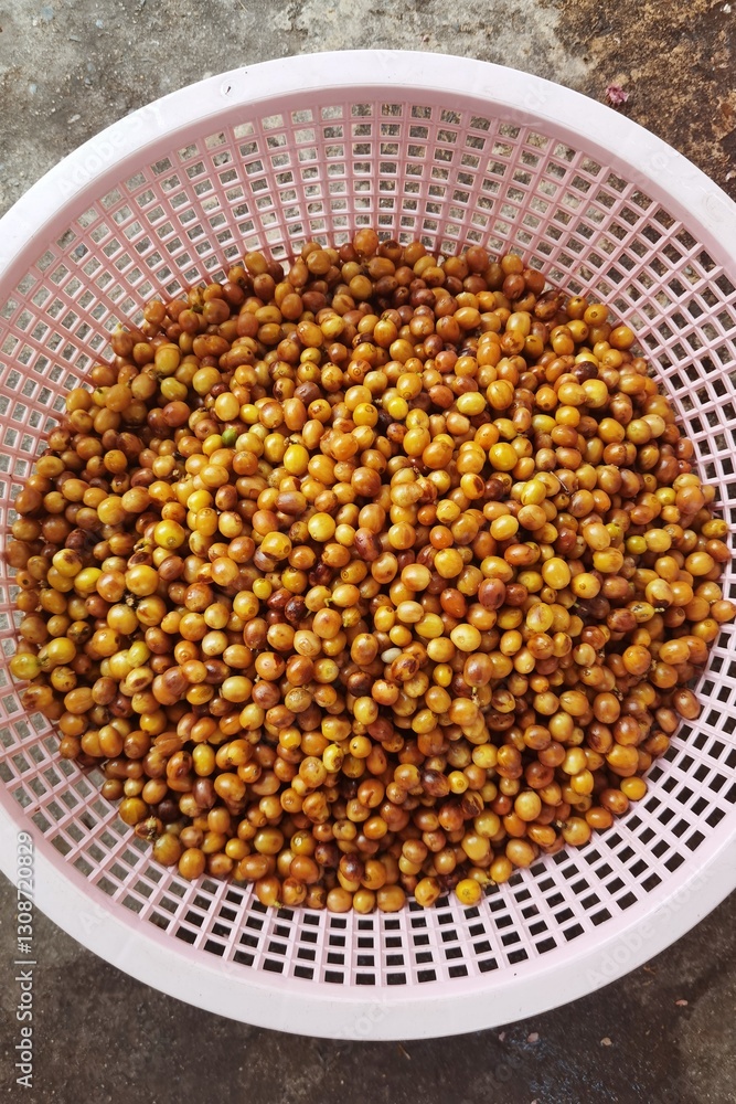 Fresh coffee bean in basket Fresh coffee bean in basket