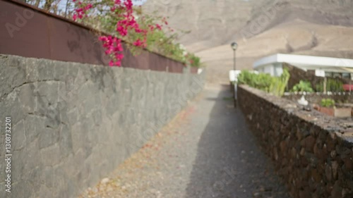 Wallpaper Mural Blurred view of a narrow stone pathway lined with blooming flowers and mountain landscape in lanzarote, canary islands, creating a serene outdoor setting in spain Torontodigital.ca
