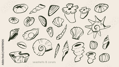Underwater elements: seashells, mollusks. Modern organic wild life doodles. Simple outline ink sketches. Collection of hand drawn sea, ocean coral reef elements. Isolated vector. Naive childish style