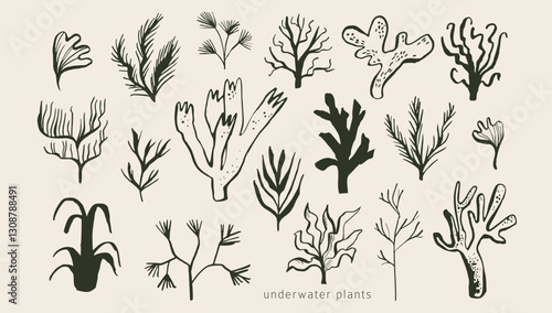 Underwater plants: seaweed, algae, corals. Modern organic wild life doodles. Simple outline ink sketches. Collection of hand drawn sea, ocean creatures. Isolated vector elements. Naive childish style