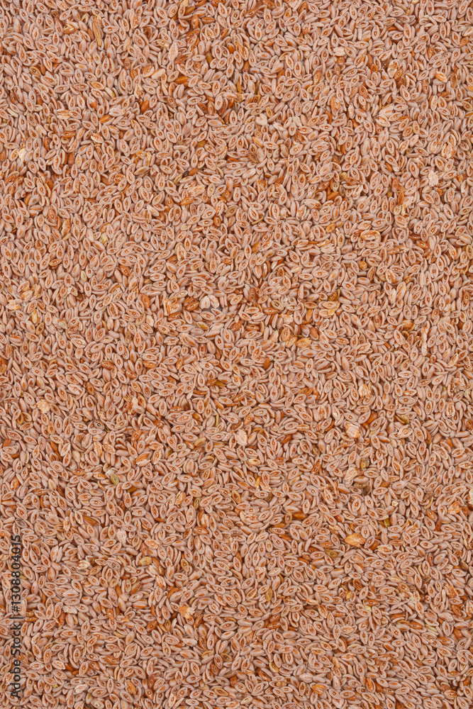 A close-up shot displays a dense pile of psyllium seeds, their oval shapes and varied brown hues creating a textured, natural pattern A close-up shot displays a dense pile of psyllium seeds, their oval shapes and varied brown hues creating a textured, natural pattern