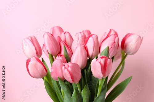 Wallpaper Mural Beautiful fresh tulips on color background Torontodigital.ca