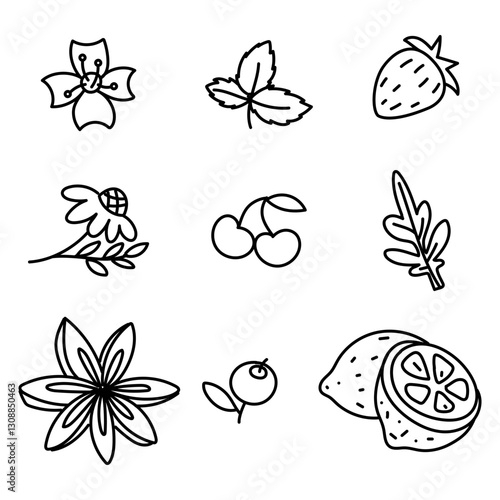 set doodle flavors tea. Illustrations of various natural additives. Lemon, cherry, chamomile, blueberry, jasmine. Flowers, berries, leaves. Ideal for health-focused brands, shops, wellness content.