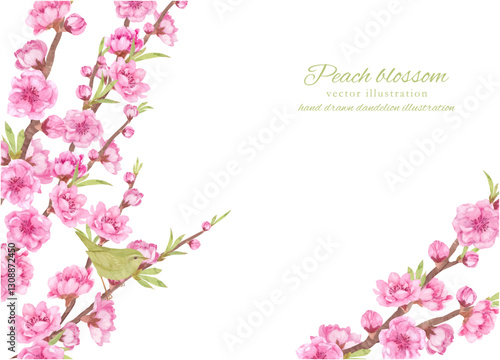 水彩で描いた桃の花の枝とうぐいすのベクターフレーム
