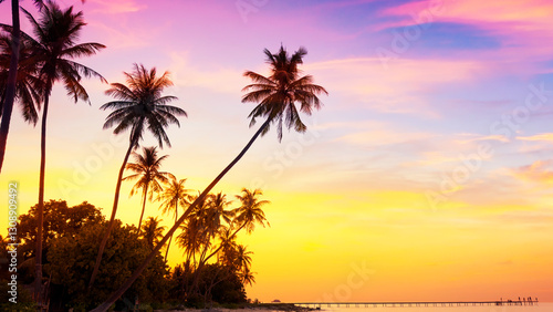 Summer with sunset scene with palm trees background as texture frame background