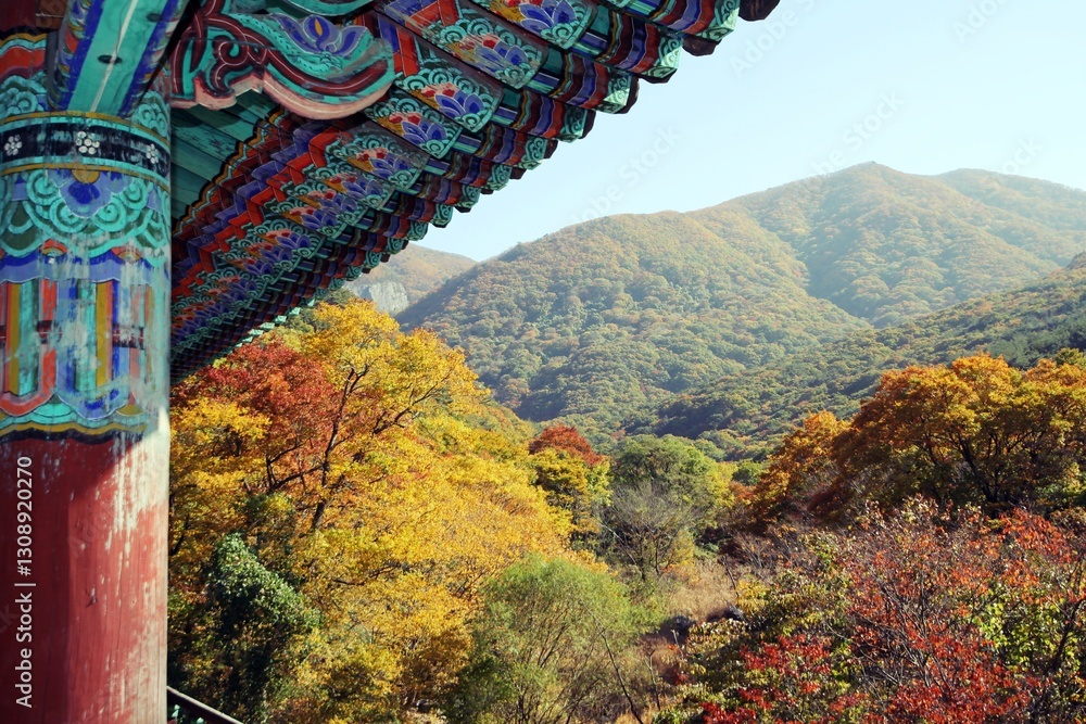 Obraz premium 한국 전통사찰의 단청과 단풍