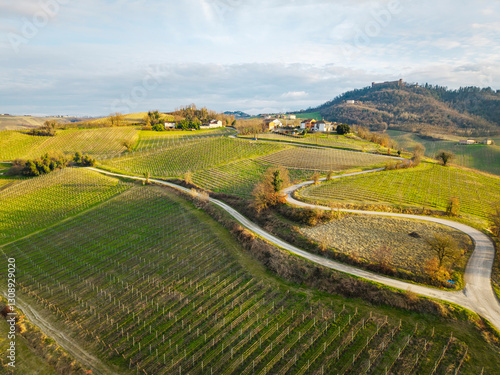 Aerial view, taken by a drone, of the vineyards late wintertime, in the vinery region of Oltrepo (Lombardy Region, Northern Italy); this hilly area is famous for its valuable red and sparkle wines.