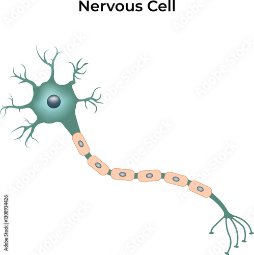 Nervous System Cell Design Vector Illustration