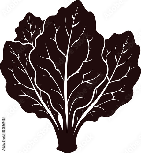 letus vector illustration