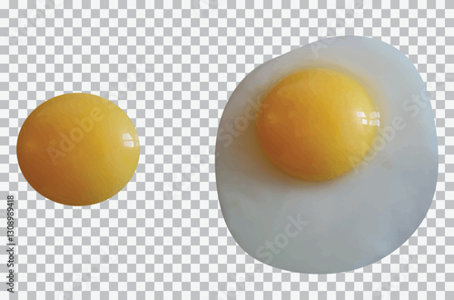Fried egg and yolk on a transparent background. Vector eps image.